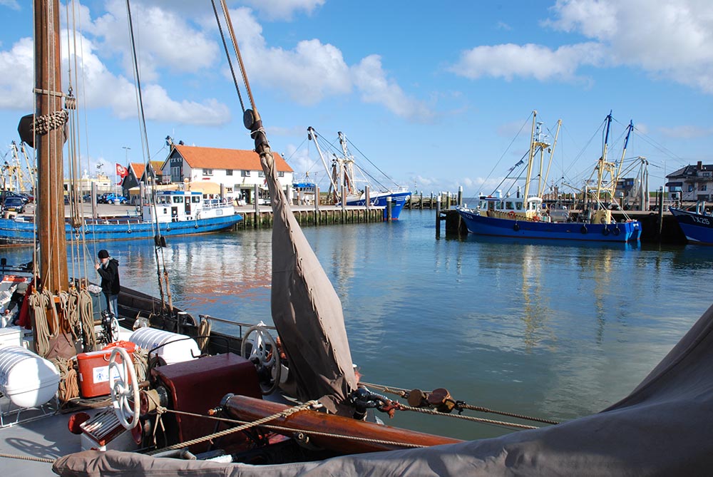 Vakantiehuis Texelbos Oudeschild