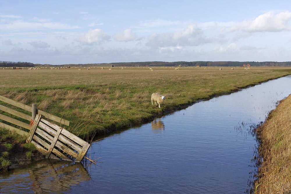Vakantiehuis Texelbos Kanalen