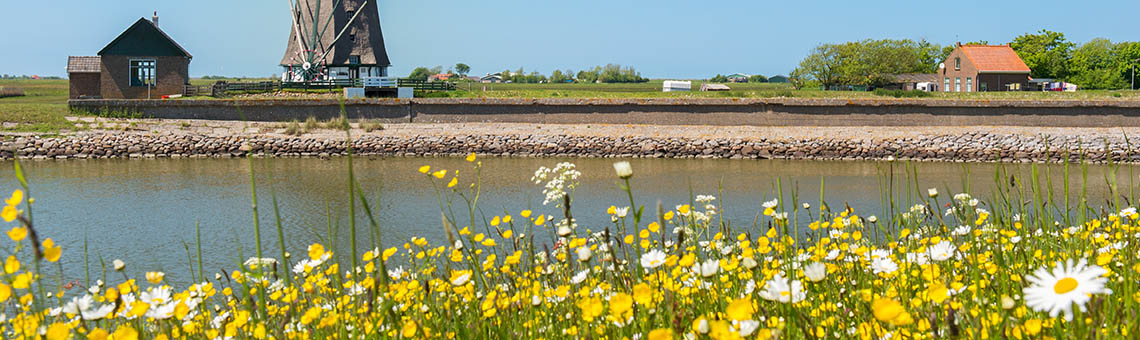 ferienhaus_texelwald_die-insel_header